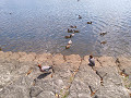 0403 (44)_thumb.jpg